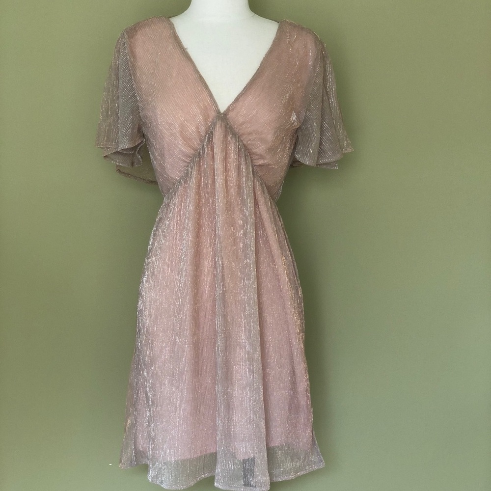 Francesca’s dress